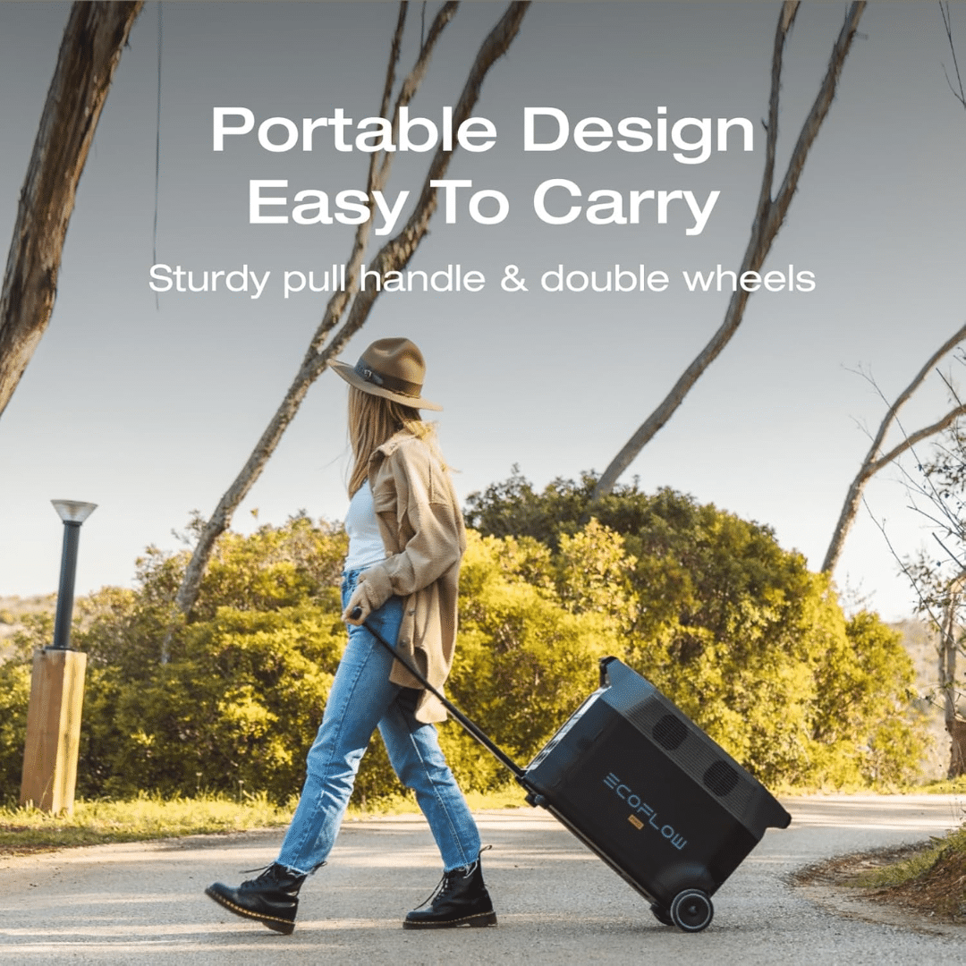 Estacion Powerstation Ecoflow Delta 2 Pro Deltapro-3600w-us 009417 (3)