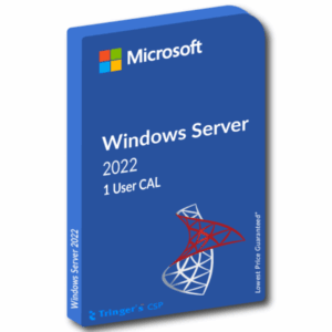 Microsoft Windows Server 2022 - License - 1 User CAL - MSP - MSR1806448 - MICROSOFT - 889842771732 - R18-06448