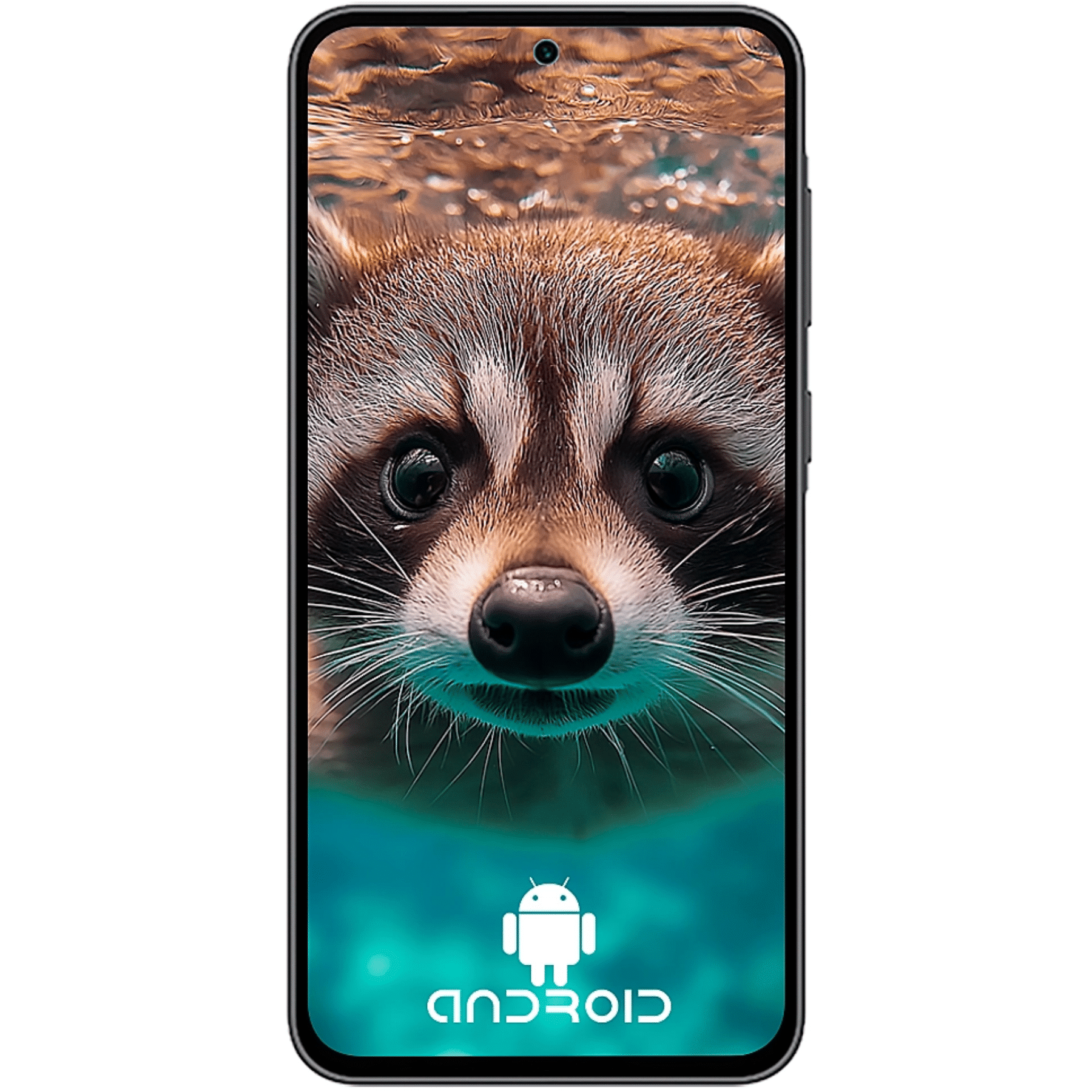 celular-samsung-galaxy-sm-a36-oc-8gb-256gb-5g-sm-a366ezk-tcws (2)