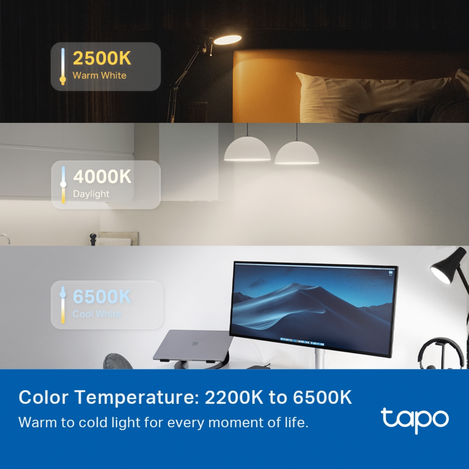focos-tplink-bombilla-led-inteligente-rgb-tapo-l535e-010757-laptops-quito (4)