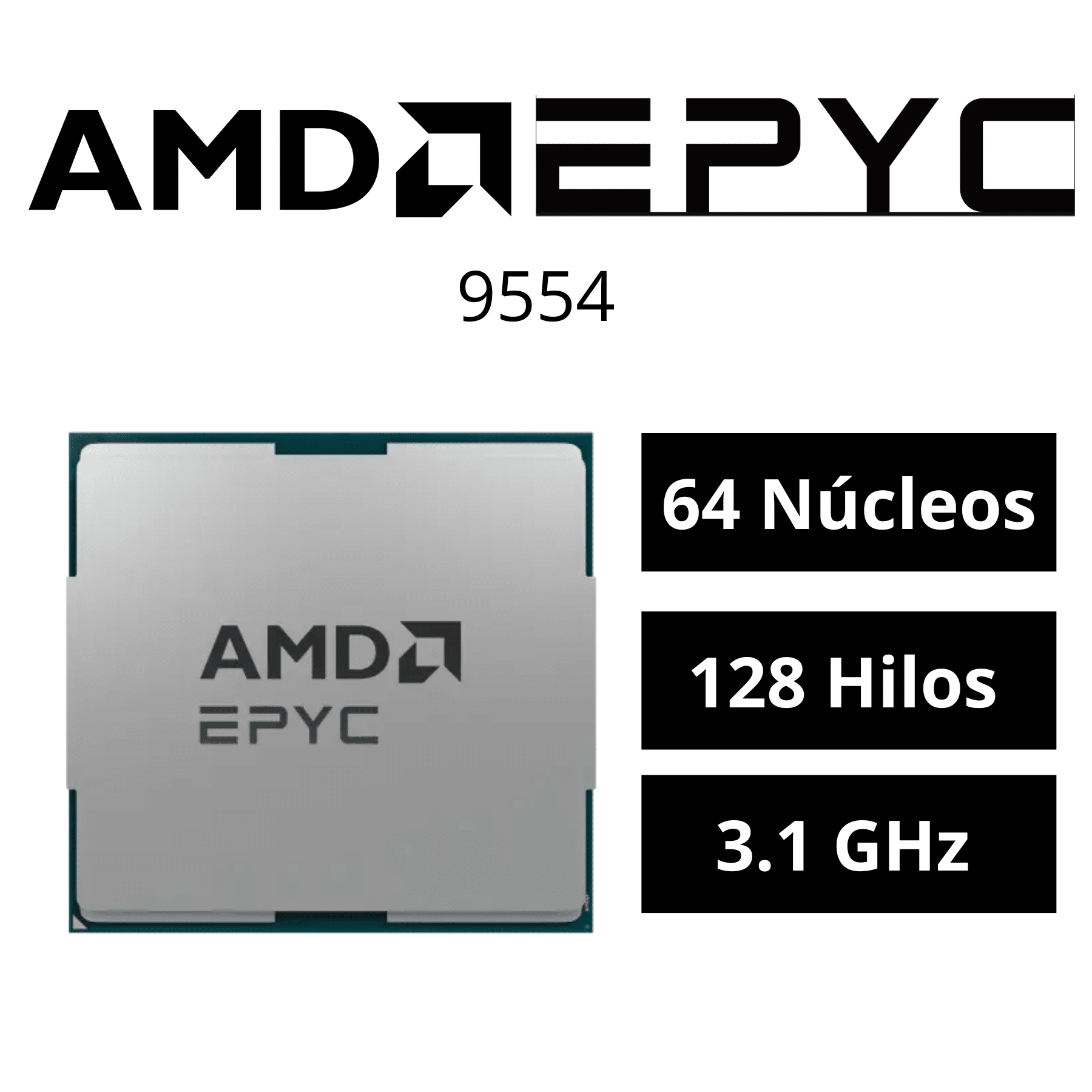 100-000000790-ASI (4)