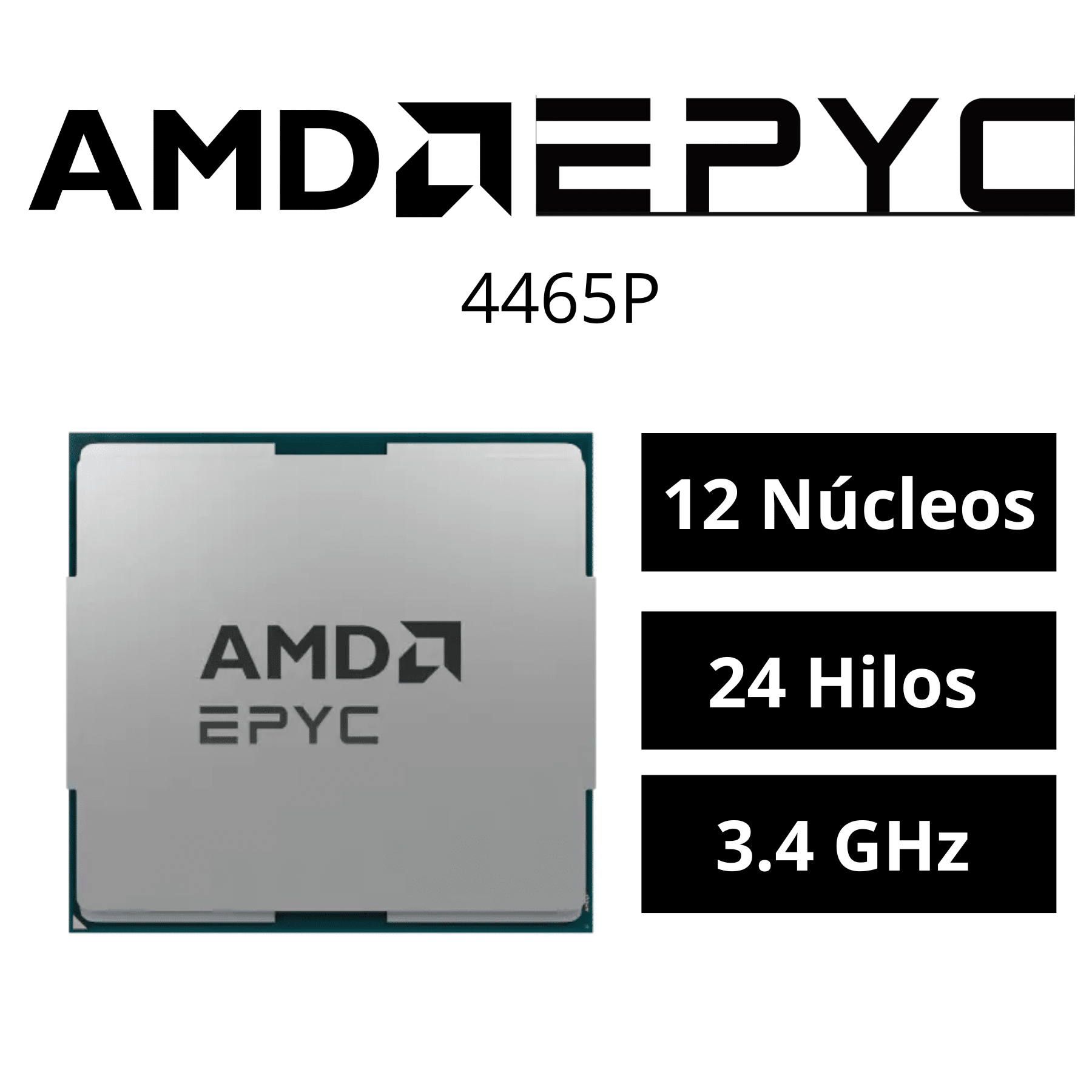 100-000001558-ASI (4)