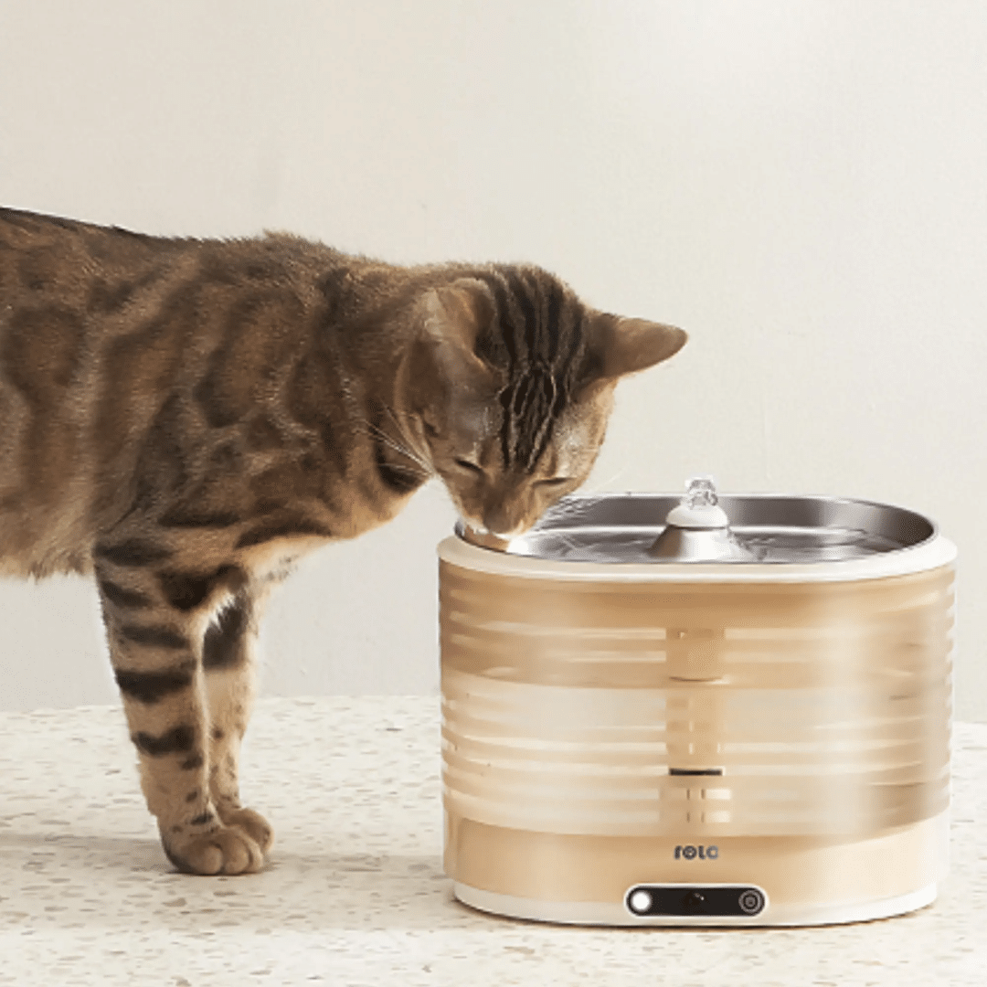 Enabot ENABOT Accessory EB2304311 ROLA Smart Pet Water Fountain Plug-in Version Retail AC 299412 EB2304311 (6)