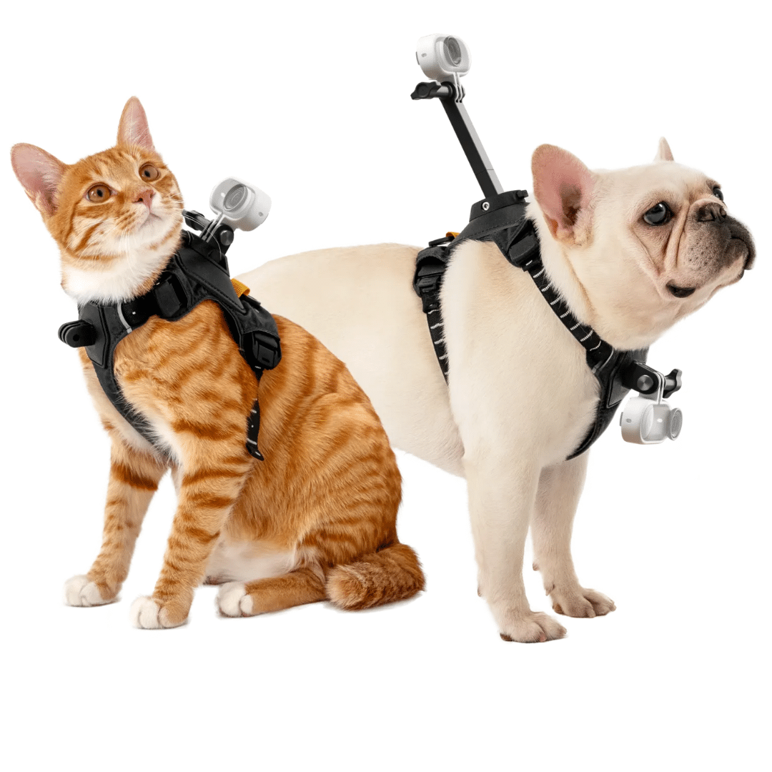 Insta360 Insta360 Accessory CINSBAVX-01 Pet Harness Mount Size S Retail AC 304564 CINSBAVX-01 (1)