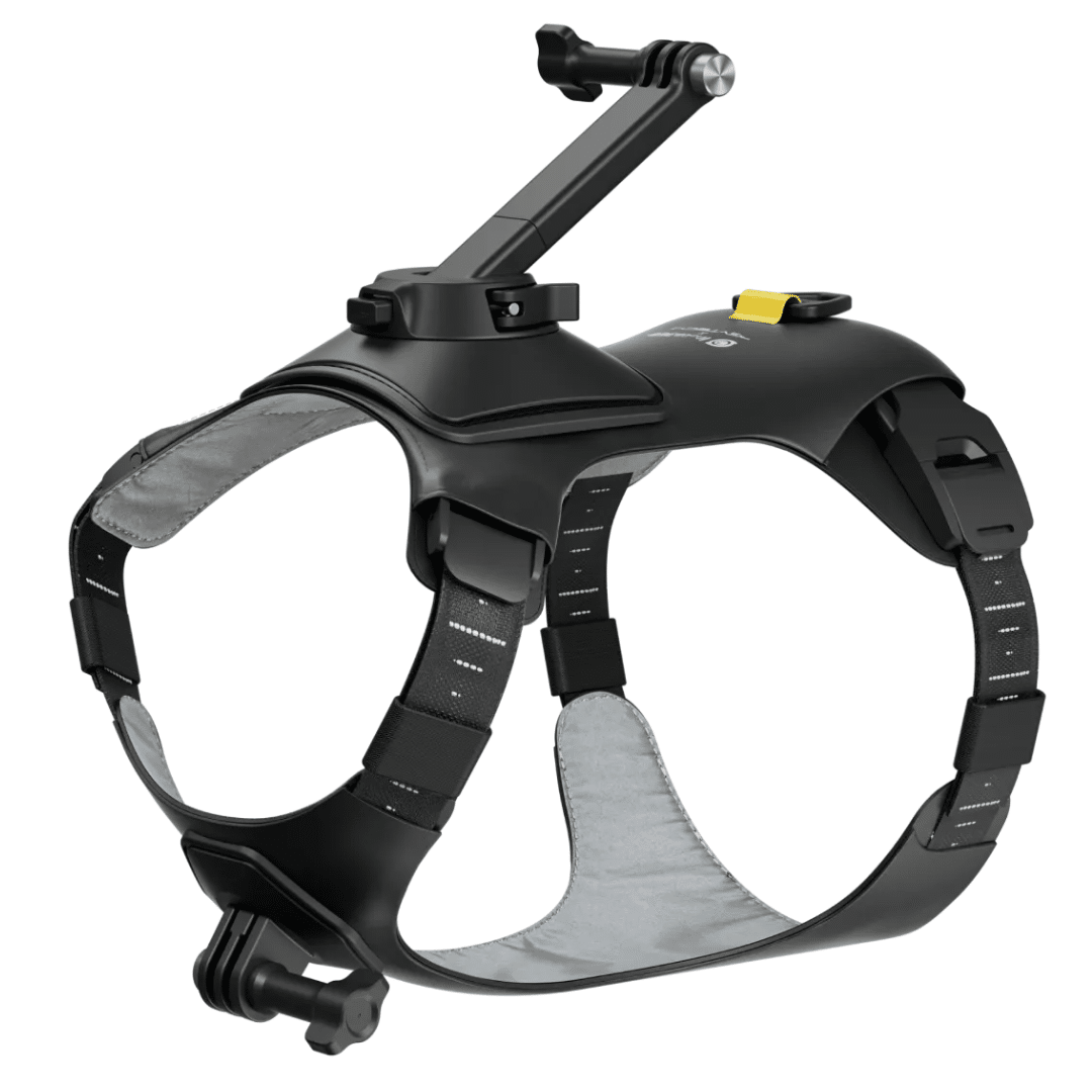 Insta360 Insta360 Accessory CINSBAVX-01 Pet Harness Mount Size S Retail AC 304564 CINSBAVX-01 (3)