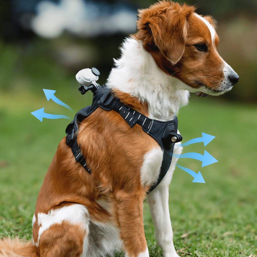 Insta360 Insta360 Accessory CINSBAVX-01 Pet Harness Mount Size S Retail AC 304564 CINSBAVX-01 (6)