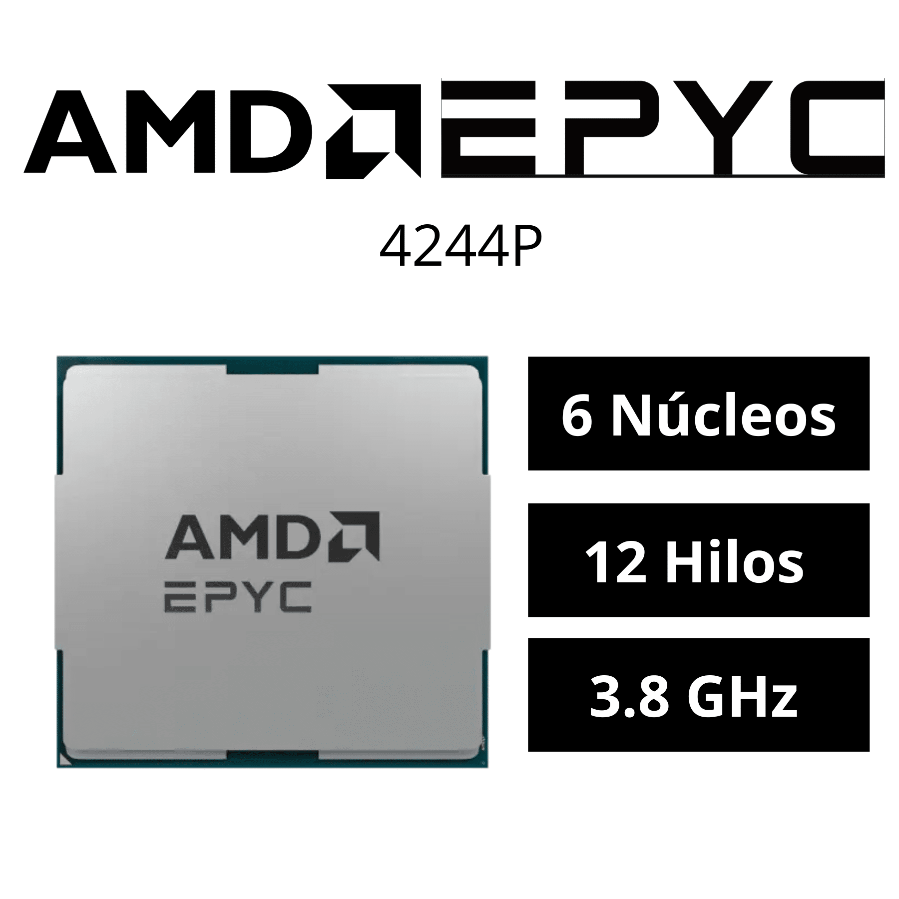 amd-amd-cpu-100-000001480-epyc-4244p-6c-12t-100-000001480-asi-asi (4)