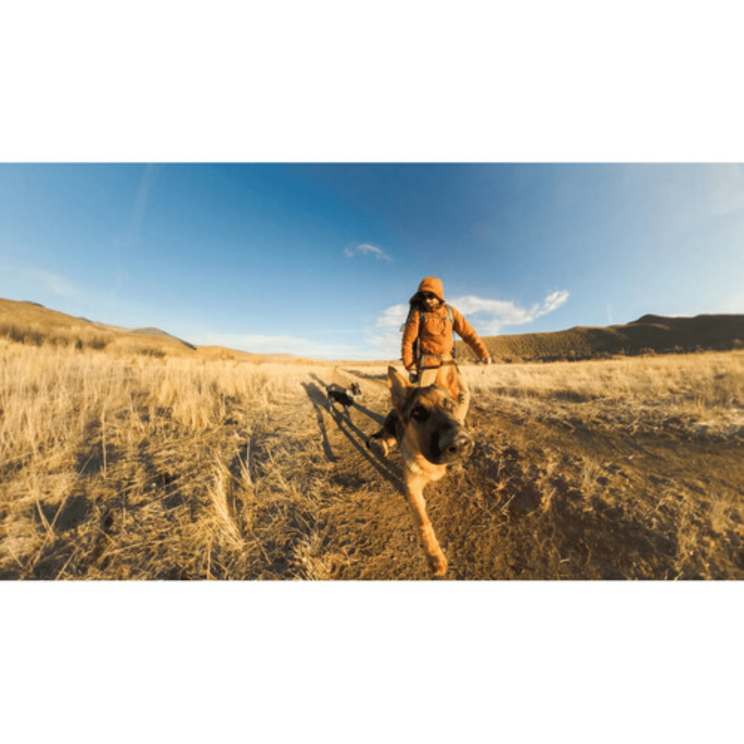 GoPro GoPro MAX 2 - CHDFZ-311-RW (6)