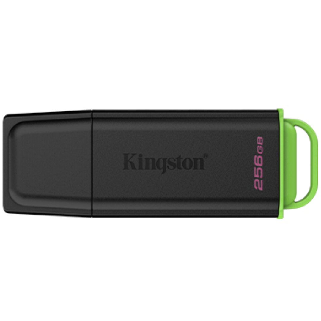 Kingston 256GB Data Traveler Exodia G2 - DTXG2256GB-TW (1)