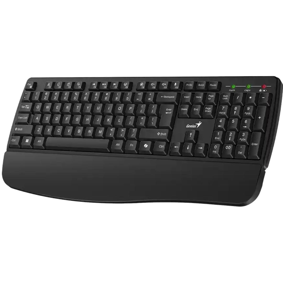 teclado-genius-kb-123-negro-usb-reposamanos-win-11-31300021401-idc-mayorista (2)