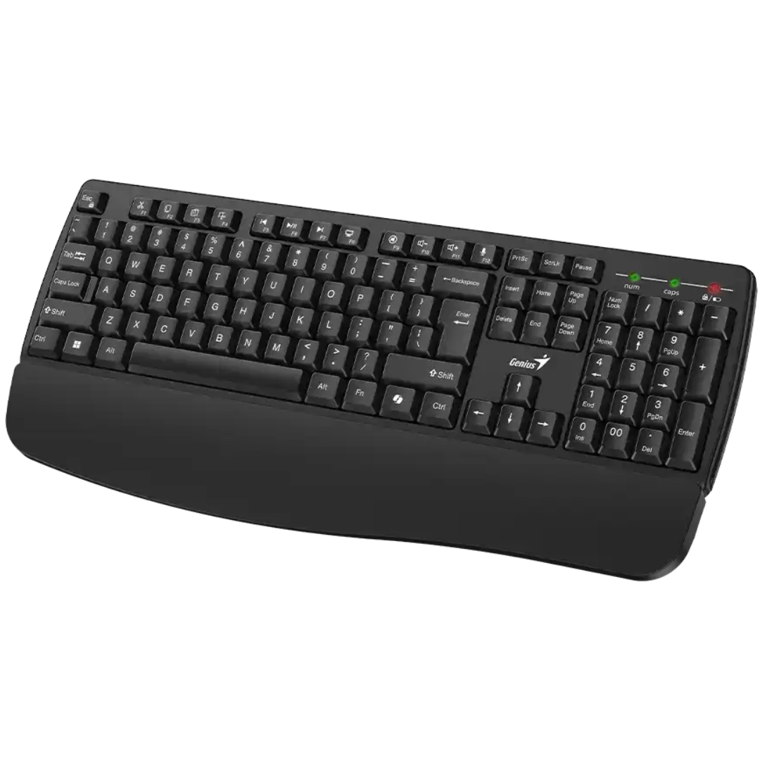 teclado-genius-kb-123-negro-usb-reposamanos-win-11-31300021401-idc-mayorista (3)