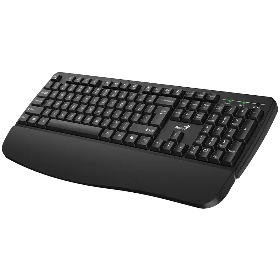 teclado-genius-kb-123-negro-usb-reposamanos-win-11-31300021401-idc-mayorista (4)