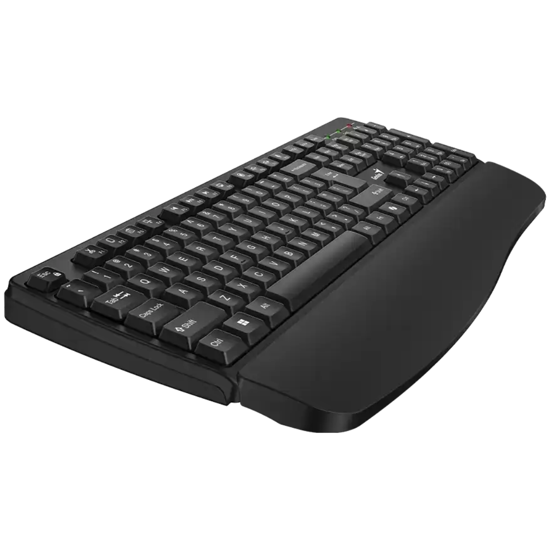 teclado-genius-kb-123-negro-usb-reposamanos-win-11-31300021401-idc-mayorista (5)